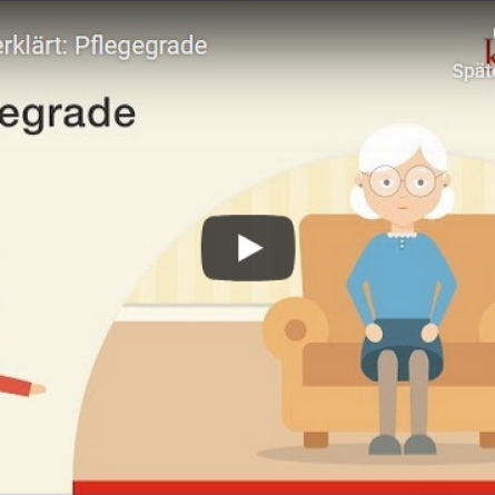 Die Pflegegrade